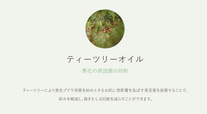 ティーツリーオイル 悪化の原因菌の抑制