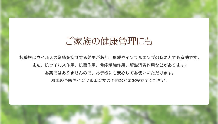 ご家族の健康管理にも　板藍根はウイルスの増殖を抑制する効果があり、風邪やインフルエンザの時にとても有効です。
また、抗ウイルス作用、抗菌作用、免疫増強作用、解熱消炎作用などがあります。
お薬ではありませんので、お子様にも安心してお使いいただけます。
風邪の予防やインフルエンザの予防などにお役立てください。