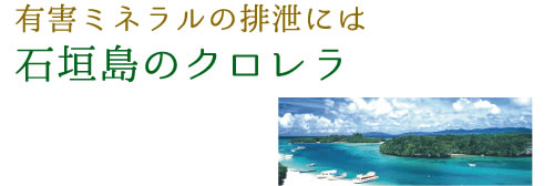 有害ミネラルの排泄には石垣島のクロレラ