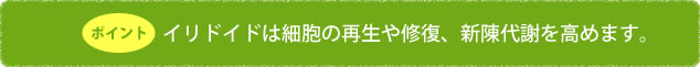 イリドイドは細胞の再生や修復、新陳代謝を高めます。
