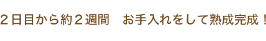 ２日目から約２週間　お手入れをして熟成完成！