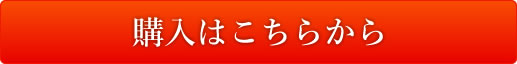 購入はこちらから